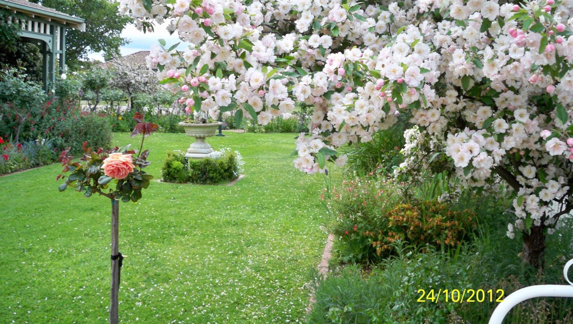Dalfruin B&B Bairnsdale Ngoại thất bức ảnh